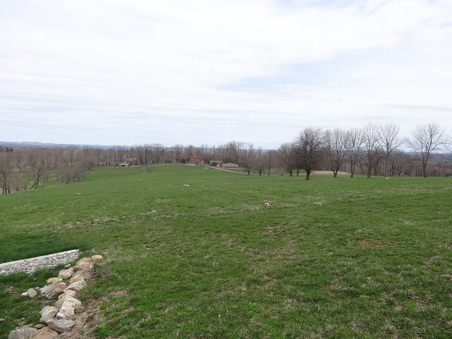 Enlarge photo 26