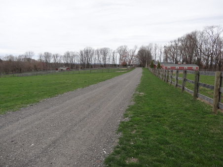Enlarge photo 27