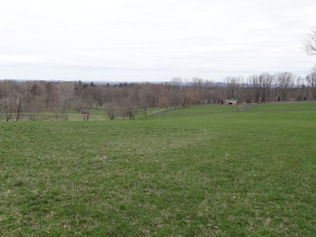 Enlarge photo 28