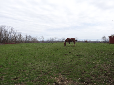 Enlarge photo 102