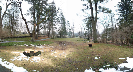 Enlarge photo 26