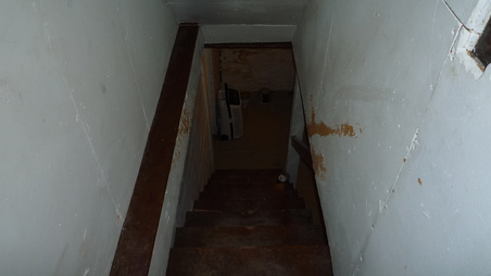 Enlarge photo 55