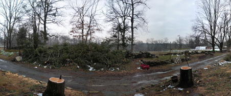 Enlarge photo 58