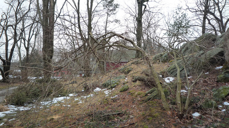 Enlarge photo 62