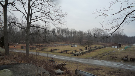 Enlarge photo 71