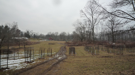 Enlarge photo 77