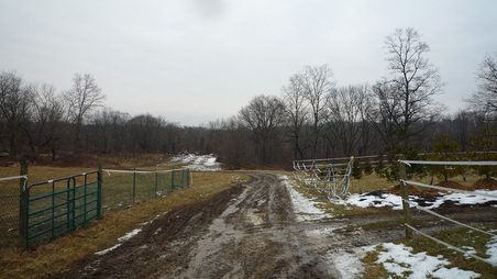 Enlarge photo 78