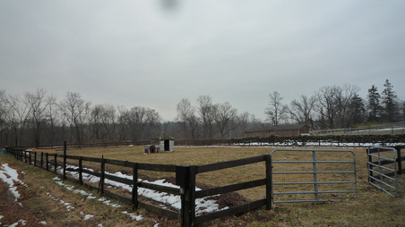 Enlarge photo 80
