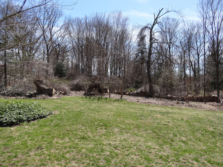 Enlarge photo 2