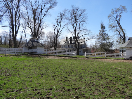 Enlarge photo 19