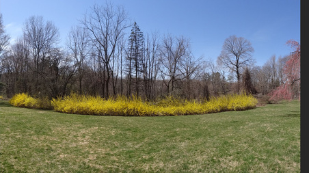 Enlarge photo 56