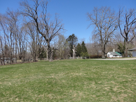 Enlarge photo 58
