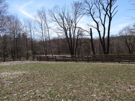 Enlarge photo 62