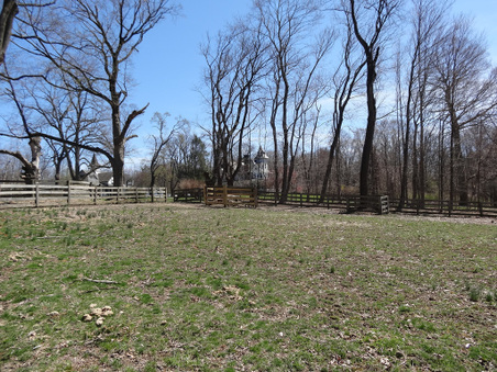 Enlarge photo 63