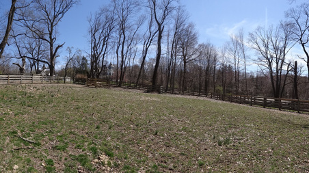 Enlarge photo 64
