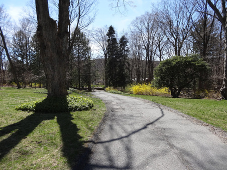 Enlarge photo 68