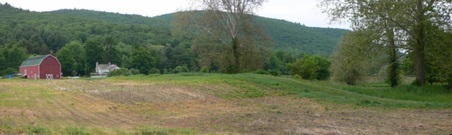 Enlarge photo 3