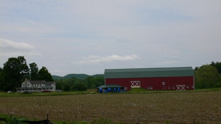 Enlarge photo 6