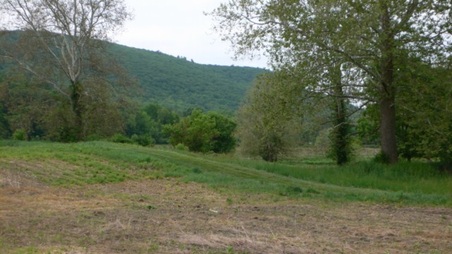 Enlarge photo 18