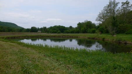 Enlarge photo 40