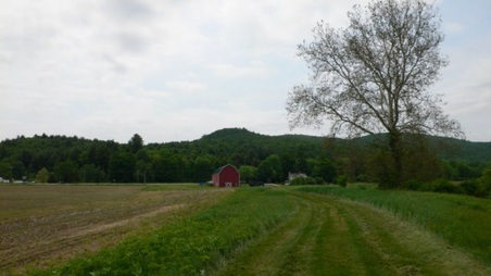 Enlarge photo 41