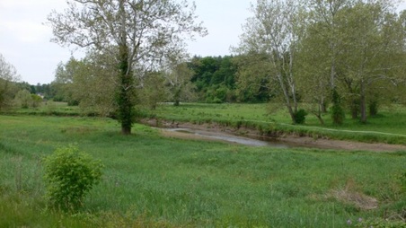 Enlarge photo 42
