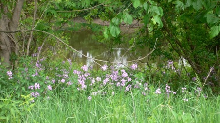 Enlarge photo 43