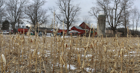 Enlarge photo 12