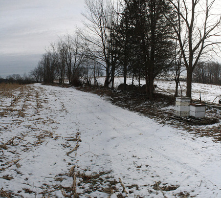 Enlarge photo 15