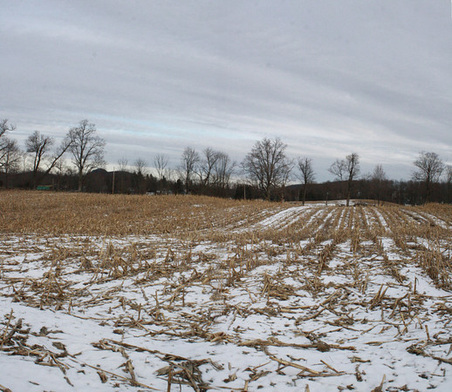 Enlarge photo 16