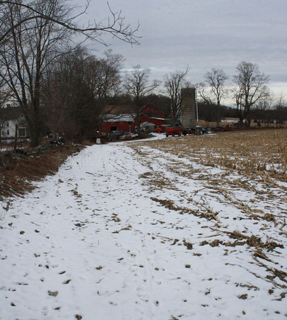 Enlarge photo 19