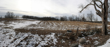 Enlarge photo 2