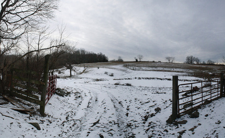 Enlarge photo 29