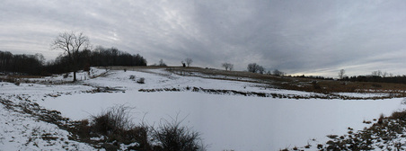 Enlarge photo 31