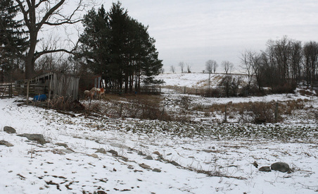 Enlarge photo 34