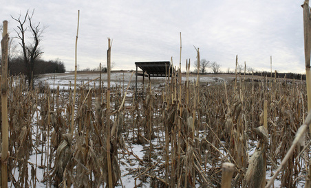 Enlarge photo 38