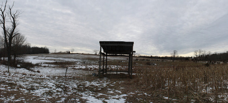 Enlarge photo 39