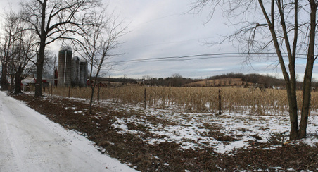 Enlarge photo 4