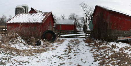 Enlarge photo 40