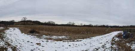 Enlarge photo 41