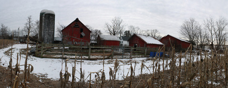 Enlarge photo 42
