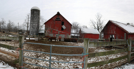 Enlarge photo 43