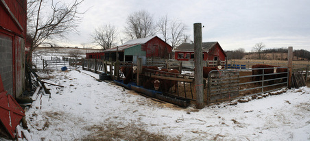 Enlarge photo 45