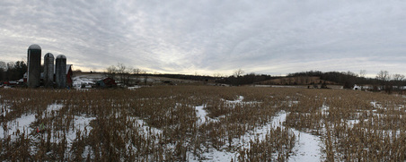 Enlarge photo 49