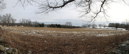 Enlarge photo 5