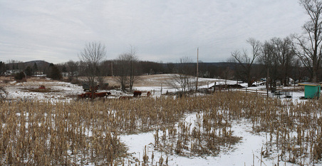 Enlarge photo 51