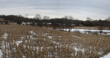Enlarge photo 52