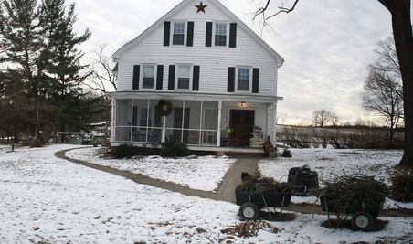 Enlarge photo 54