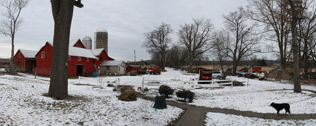 Enlarge photo 55