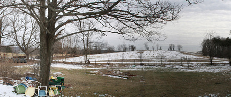 Enlarge photo 64